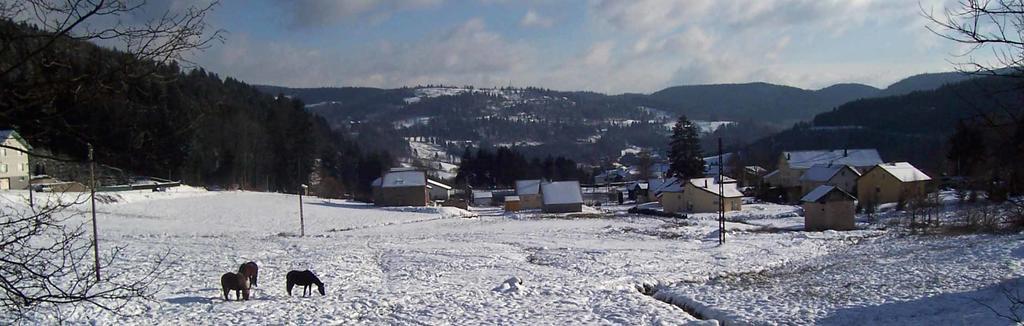 Equi'Val Villa Le Tholy Kültér fotó